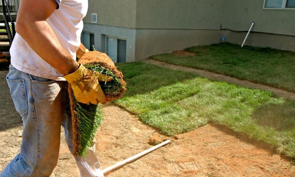 front yard landscaping