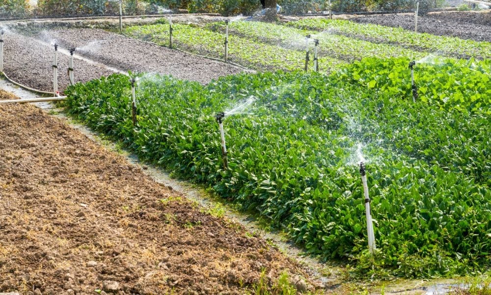 outdoor water consumption