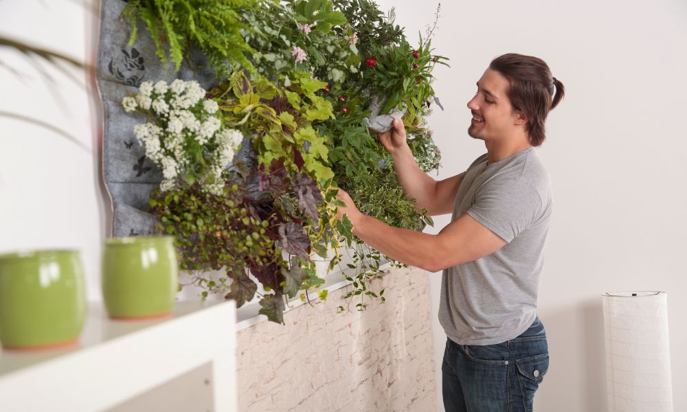 raised garden beds