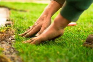 Fixing a Soggy Yard