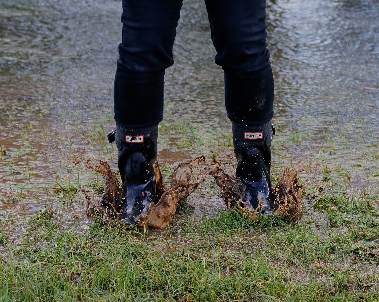 Soggy Yard